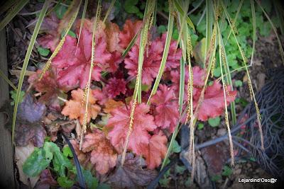 Heuchères and Co (1/2)...