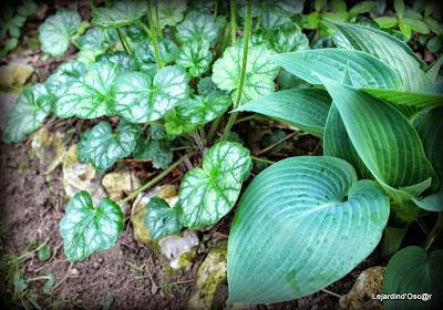 Heuchères and Co (1/2)...