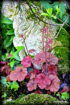 Heuchères and Co (1/2)...