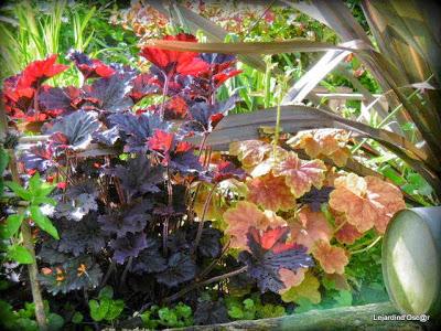 Heuchères and Co (1/2)...