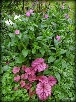 Heuchères and Co (1/2)...