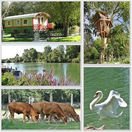Les bords de la Charente