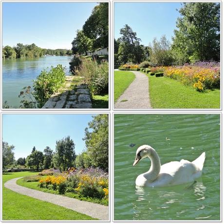 Les bords de la Charente