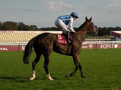 Longchamp (03.10.2015)