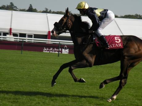 Longchamp (03.10.2015)
