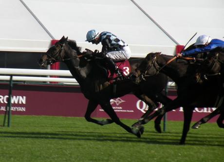 Longchamp (03.10.2015)