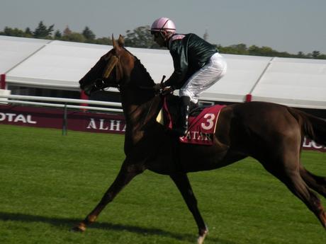 Longchamp (03.10.2015)