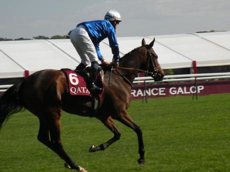 Longchamp (03.10.2015)