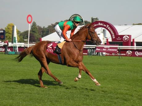 Longchamp (03.10.2015)