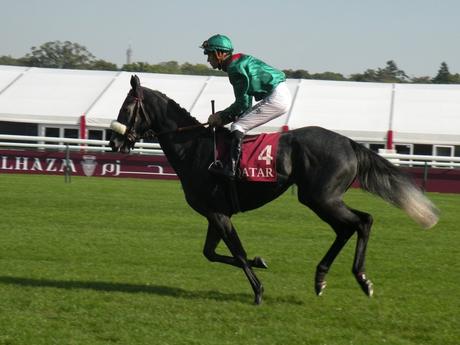 Longchamp (03.10.2015)