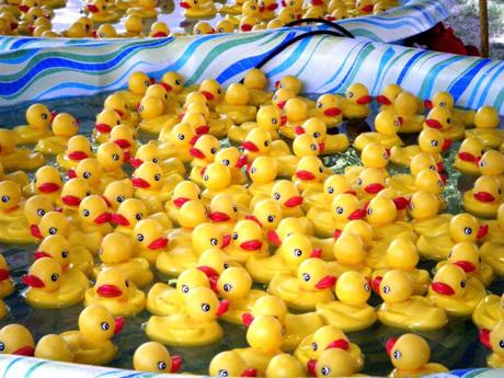 Duck Army, le mème qui fait pouet !