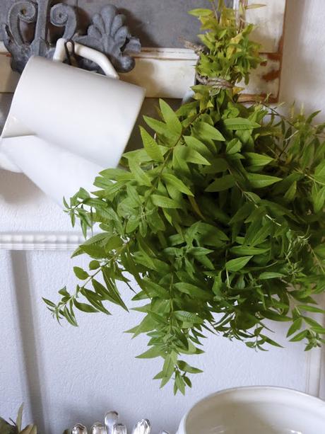 L'automne au Mas Bleu