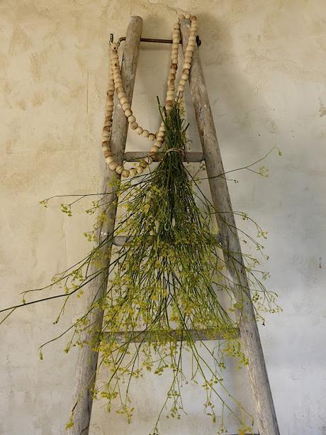 L'automne au Mas Bleu