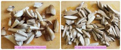 Lépiotes et Coprins Noir d'Encre de mon jardin