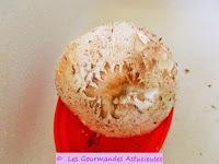 Lépiotes et Coprins Noir d'Encre de mon jardin