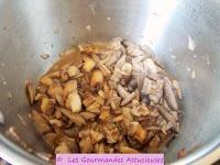 Lépiotes et Coprins Noir d'Encre de mon jardin