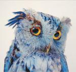 Pensée assise, de Mathieu Robin (2005)