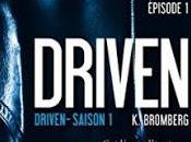 Driven Saison Bromberg