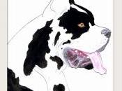 Hypermnésie, monomanie crotte chien