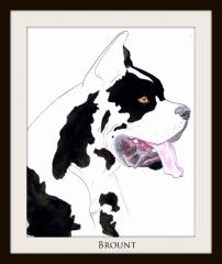 brount_by_naoki_de_robespierre-d47rky0 888.jpg