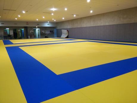 En jaune et bleu… En jaune et bleu…