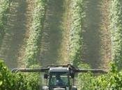 Pesticides cancers pédiatriques Preignac médecins demandent l'ARS d'approfondir l'enquête