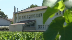 étude sanitaire,ars,invs,vigne,cancers pédiatrique,enfant,preignac,gironde,amlp