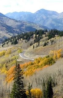 Ternes couleurs d'automne ...