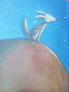 Le fennec amoureux d'une pastèque