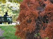 L’été indien Genève