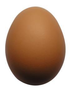 egg-1498980