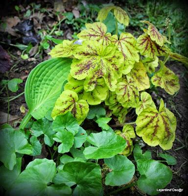 Heuchères et Co (2/2)...