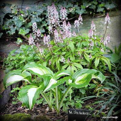 Heuchères et Co (2/2)...