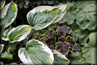 Heuchères et Co (2/2)...