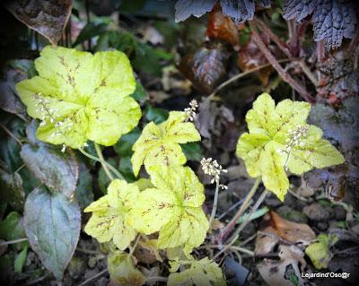 Heuchères et Co (2/2)...