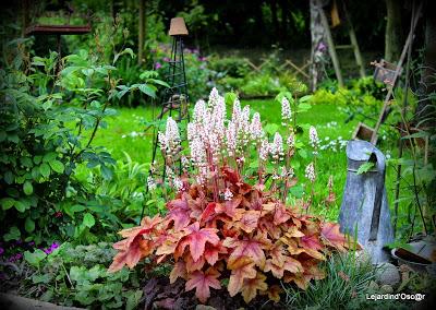 Heuchères et Co (2/2)...