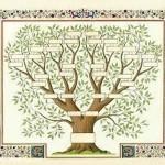 Généalogie : les premiers pas