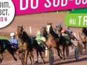Dimanche Octobre 38ème Grand Prix Sud-Ouest Trot