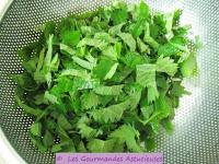 Cake aux orties (Végétarien)