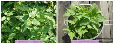 Cake aux orties (Végétarien)