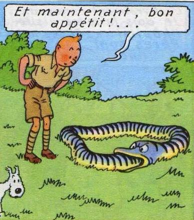 ouroboros--tintin