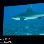 12096522_905420146172581_3231563903308815269_n