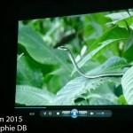 12107990_905419889505940_1845209035553267549_n