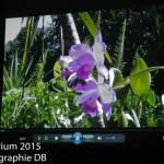 12105783_905419532839309_5435292485357758749_n