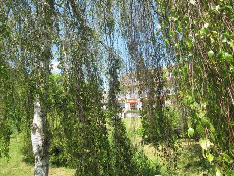 La France - Dans le Jura - 2