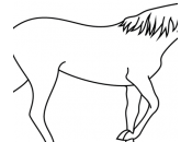 dessin cheval