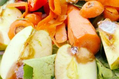 Les projets d’unités de tri mécano-biologique sont-ils obsolètes ?