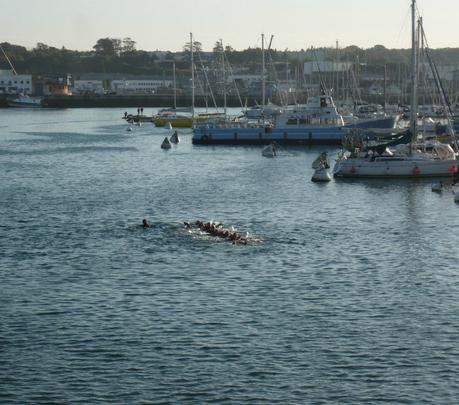 entrainement-sauvetage2