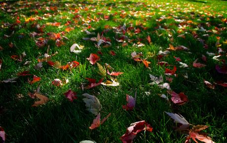 Ten on ten - octobre