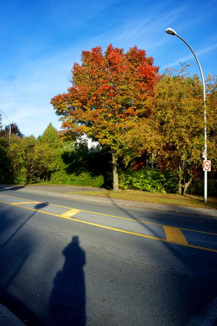 Ten on ten - octobre